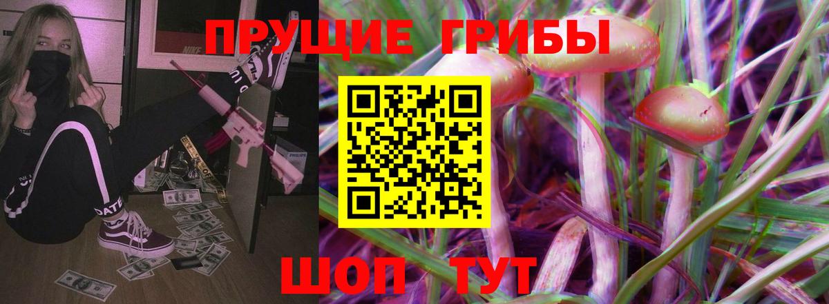 Псилоцибиновые грибы Psilocybine cubensis Орехово-Зуево
